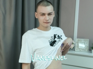 Vaneslinel