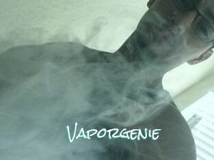 Vapor_genie