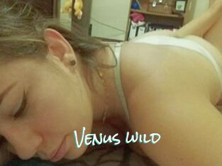 Venus_wild