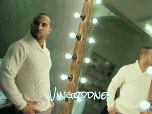 Vingoddnes