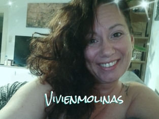 Vivienmolinas