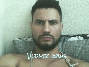 Vldmr_gaus