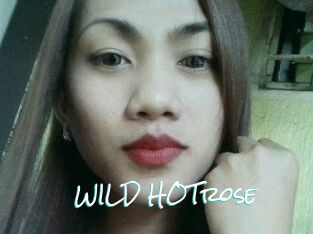 WILD_HOTrose