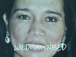 WILDpussyINBED