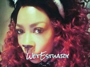 WetEstuary