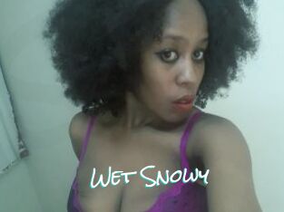 Wet_Snowy