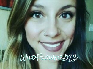 WildFlower023