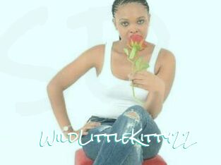 WildLittleKitty22