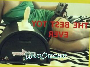 WildOrchid_