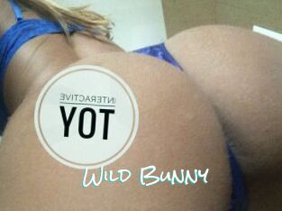 Wild_Bunny_ Sensuality Dream