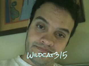 Wildcat315