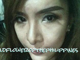 Wildflowerofthephilippines