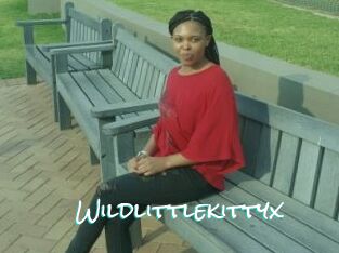 Wildlittlekittyx