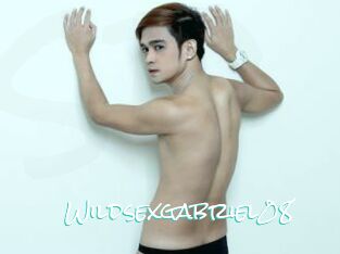 Wildsexgabriel08
