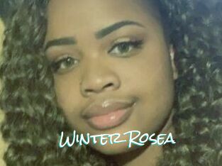 Winter_Rosea