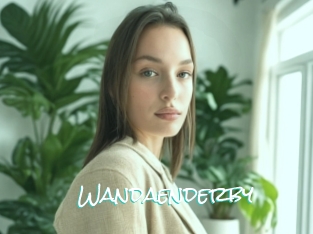 Wandaenderby