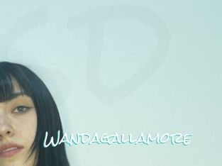 Wandagallamore