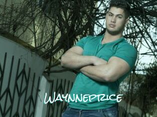Waynneprice