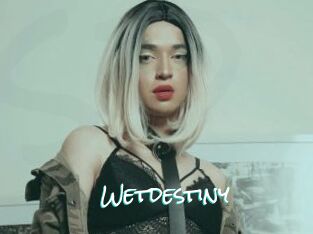 Wetdestiny