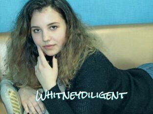 Whitneydiligent