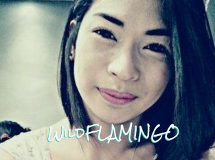 WildFLAMINGO