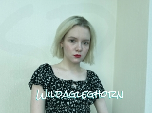 wildagleghorn Sensuality Dream