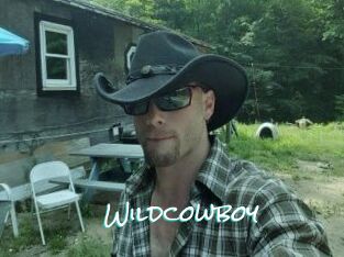 Wildcowboy