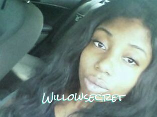 Willow_secret