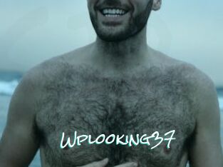 Wplooking37