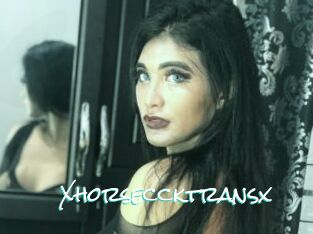 Xhorseccktransx