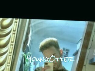 YoungOtter