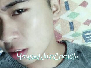 YoungWildCock4u