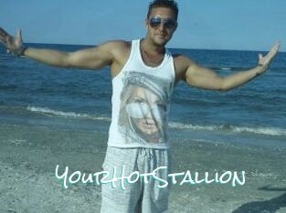 YourHotStallion