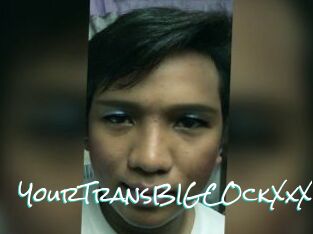 YourTransBIGCOckXxX