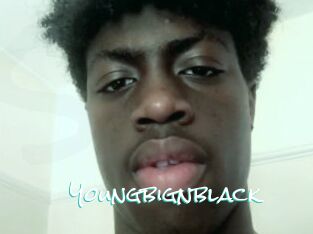 youngbignblack Sensuality Dream