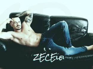 ZECElei