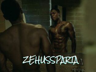 ZEHUS_SPARTA