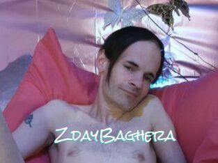 ZdayBaghera