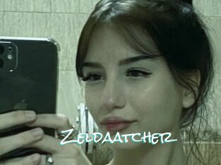 Zeldaatcher