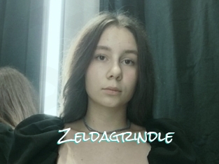 Zeldagrindle